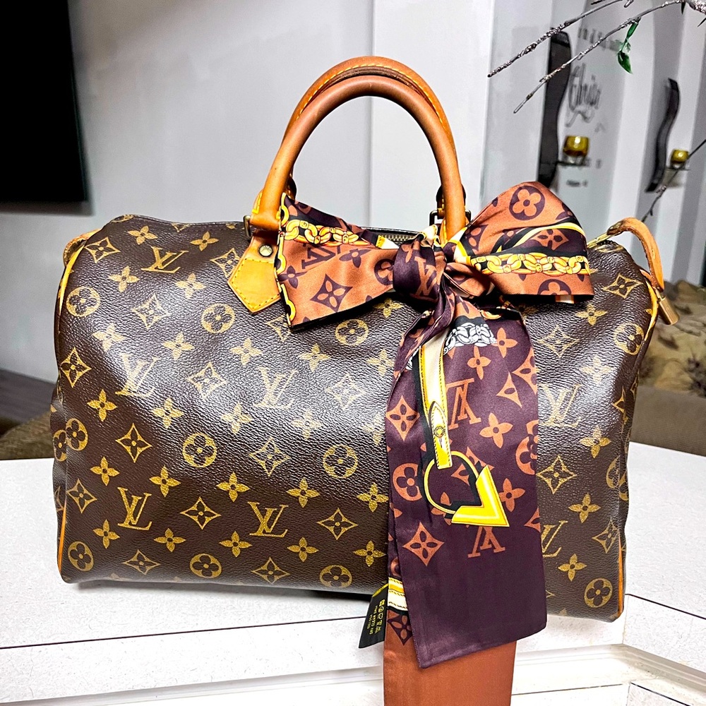 Louis Vuitton speedy 35